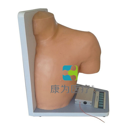 “康为医疗”高级电子肩关节腔内注射模型,肩关节腔内注射操作模型