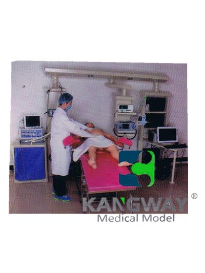 武威“康为医疗”产妇-高仿真标准化病人实训系统 V1.0