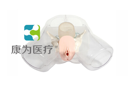 张掖“康为医疗”女性宫腔电切模型