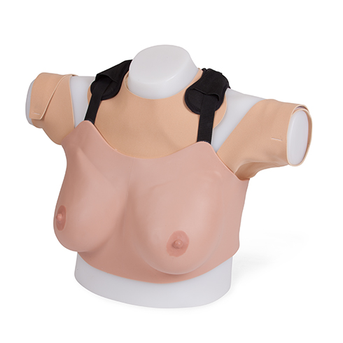 “康为医疗”乳房检查诊疗模型（高级）