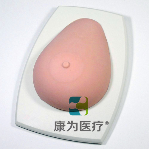 张掖“康为医疗”高级乳腺检查训练模型