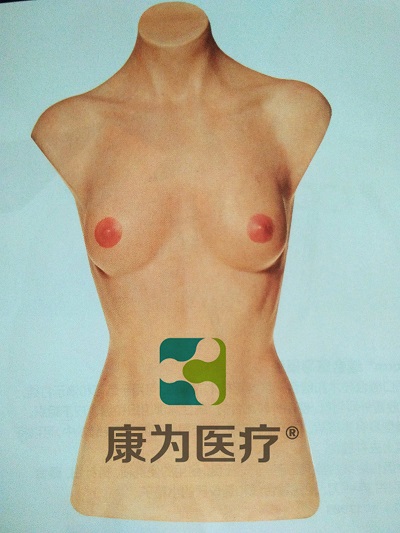 张掖“康为医疗”乳房外科手术训练模型