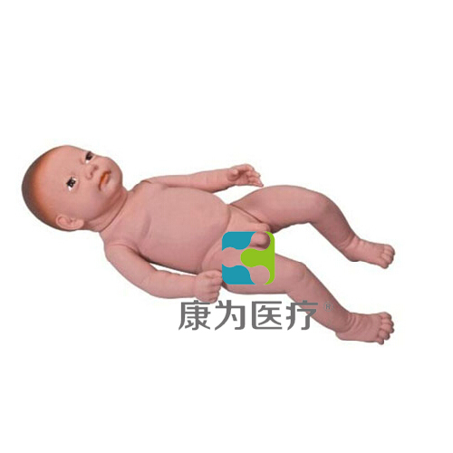 金昌“康为医疗”高级足月胎儿模型（男婴、女婴任选）