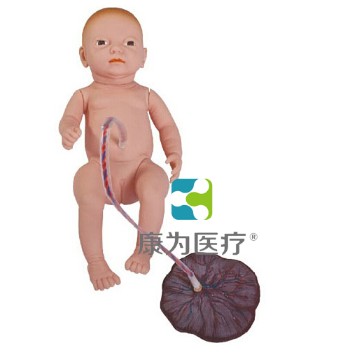 金昌“康为医疗”高级新生儿脐带护理模型