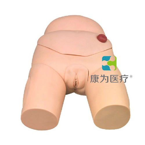 肇庆“康为医疗”高级整体女性导尿模型