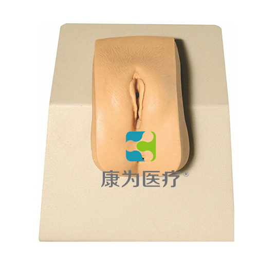 东莞“康为医疗”高级着装式女性导尿模型