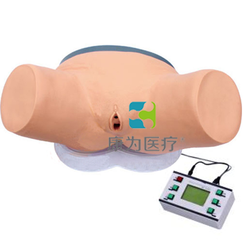 北京“康为医疗”高级电子女性导尿模型