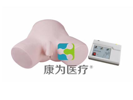 九江“康为医疗”电子男性导尿模型