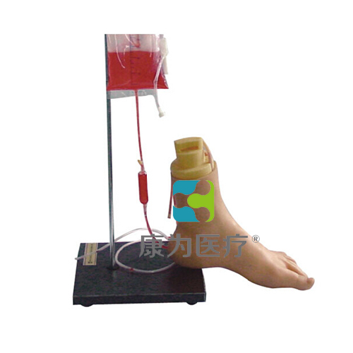 “康为医疗”下肢足部静脉注射仿真模型