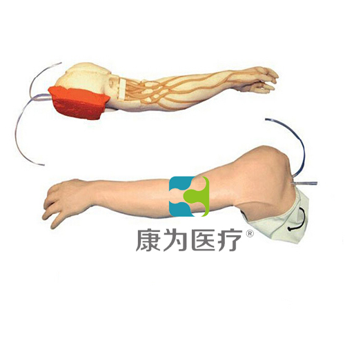 张掖“康为医疗”完整静脉穿刺手臂模型