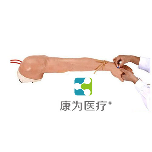 张掖“康为医疗”高级精装静脉注射及穿刺训练左手臂模型