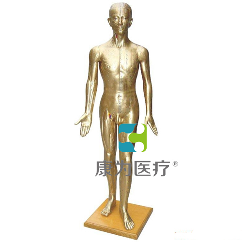 张掖“康为医疗”人体针灸模型178CM(青铜色）