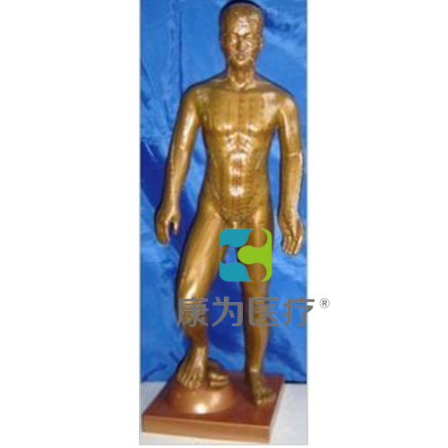 张掖“康为医疗”运动式古铜色人体针灸模型（85CM）