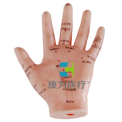 张掖“康为医疗”手针灸模型13CM