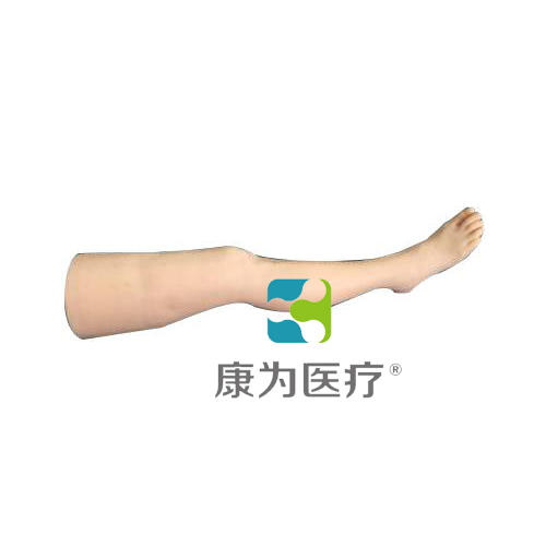 张掖“康为医疗”针灸腿部训练模型
