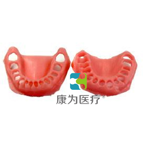 “康为医疗”软牙龈模型