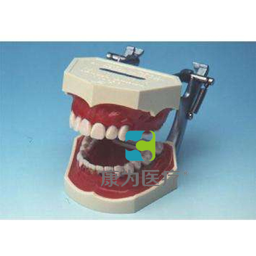 “康为医疗”牙周病模型（治疗中）