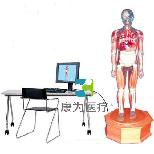 张掖“康为医疗”多媒体解剖学教学综合模拟示教人