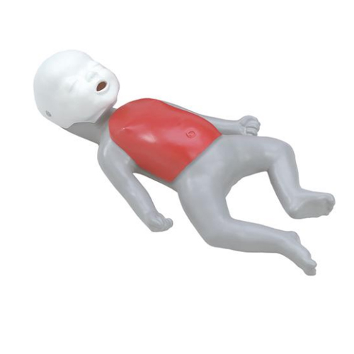 德国3B Scientific®Baby Buddy™ 单人心肺复苏(CPR)模型