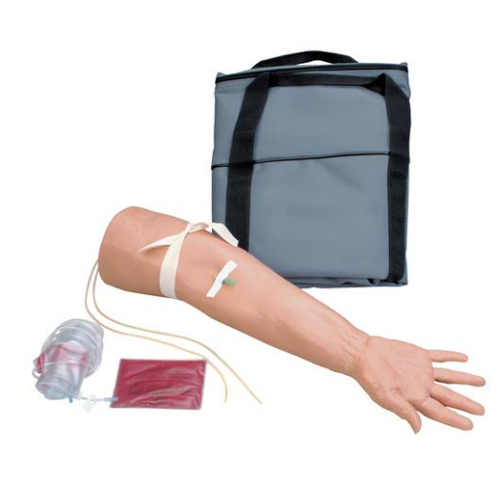 德国3B Scientific®老年人静脉注射手臂模型
