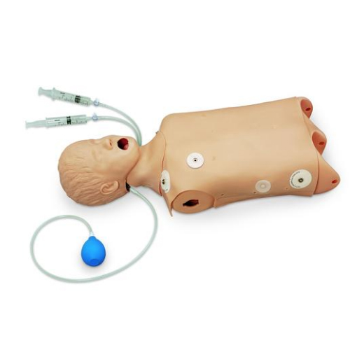 德国3B Scientific®高级儿童CPR/气道管理躯干模型，具有除颤训练功能特征