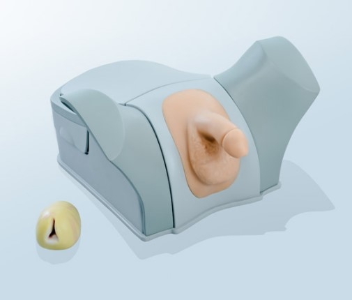 “康为医疗”前列腺电切（生物仿真材料）模拟训练系统