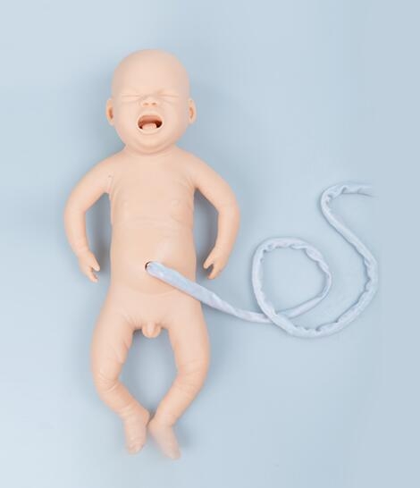 张掖“康为医疗”新生儿处理与轻度窒息训练模型