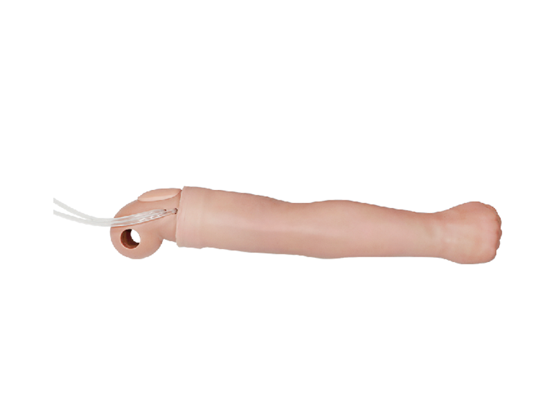 可更换的动静脉穿刺手臂（右）