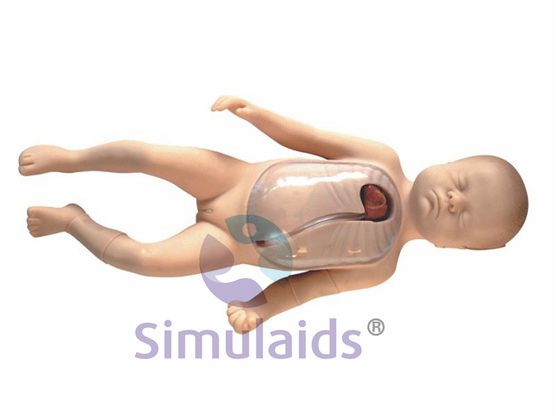 金昌新生儿外周中心静脉插管操作模型（PICC)