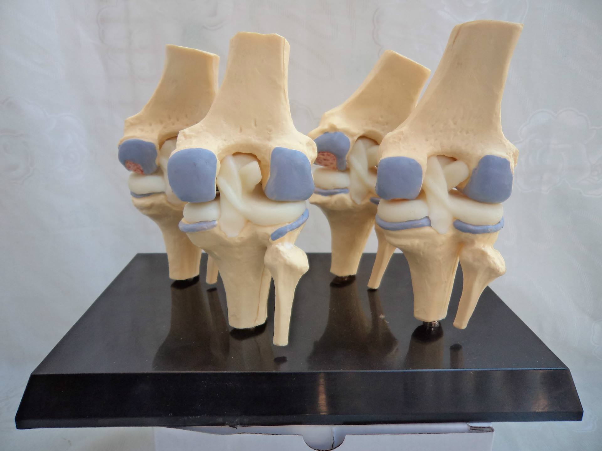 膝关节镜手术训练模型