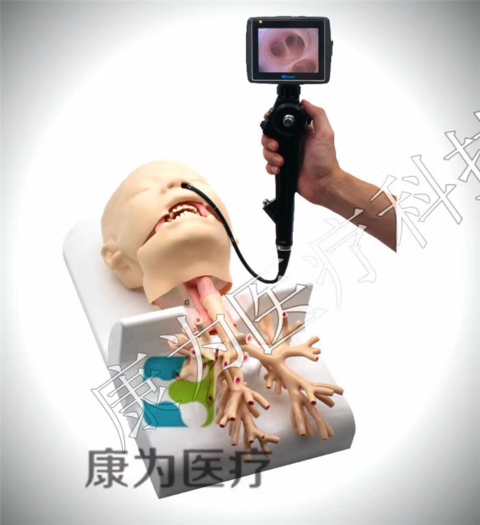 呼吸内镜介入培训模拟器
