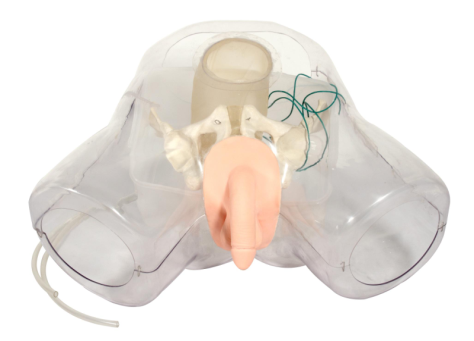 前列腺电切术模拟训练模拟器